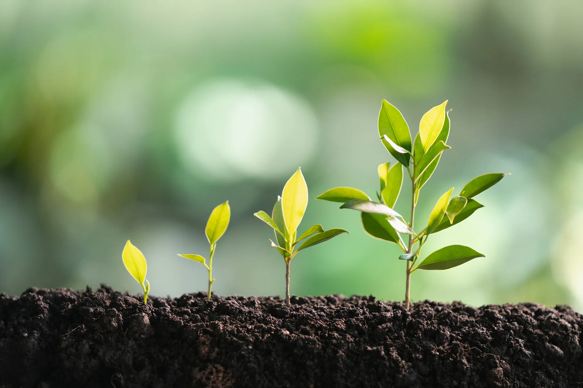 Banking built to help your business grow