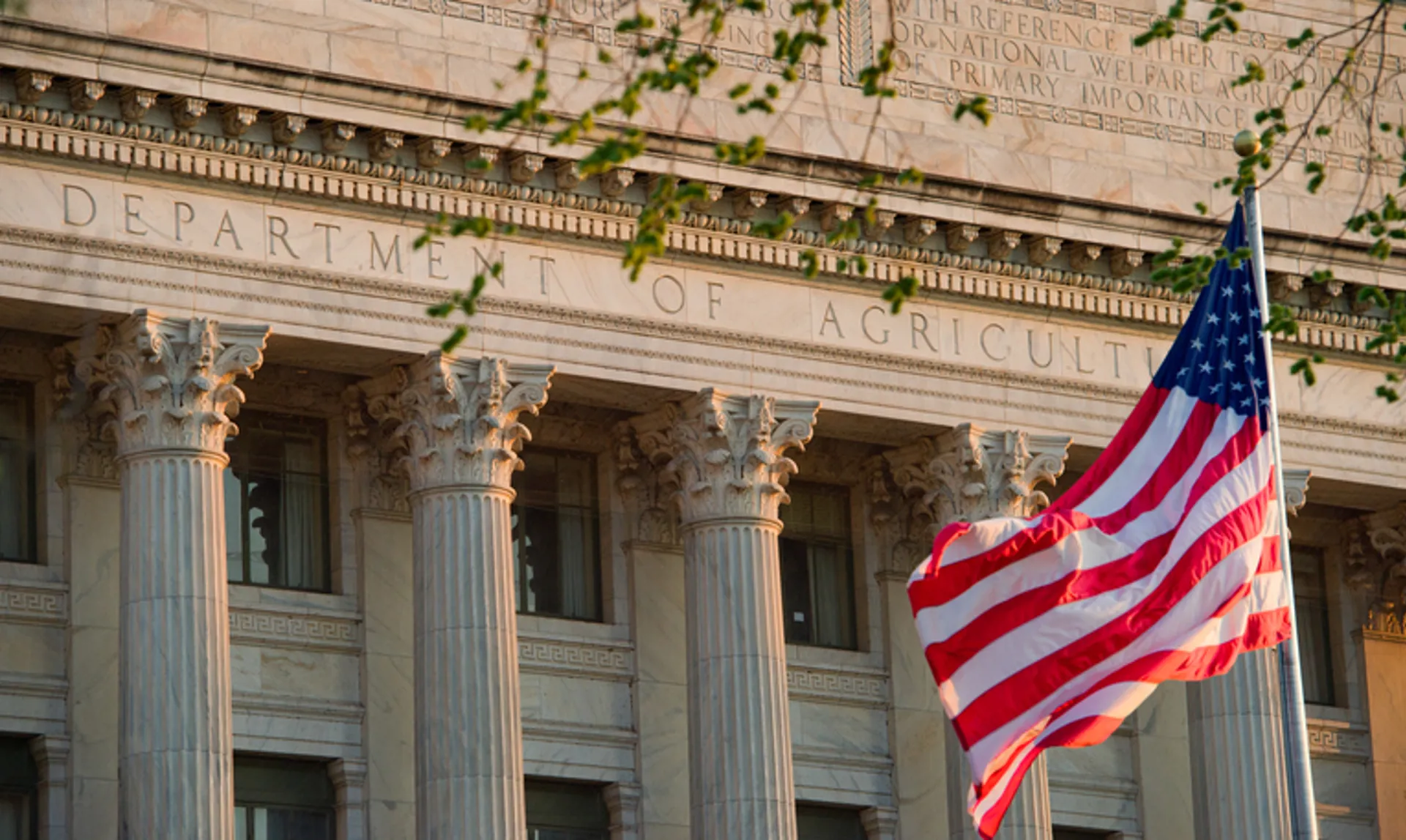 USDA Loans