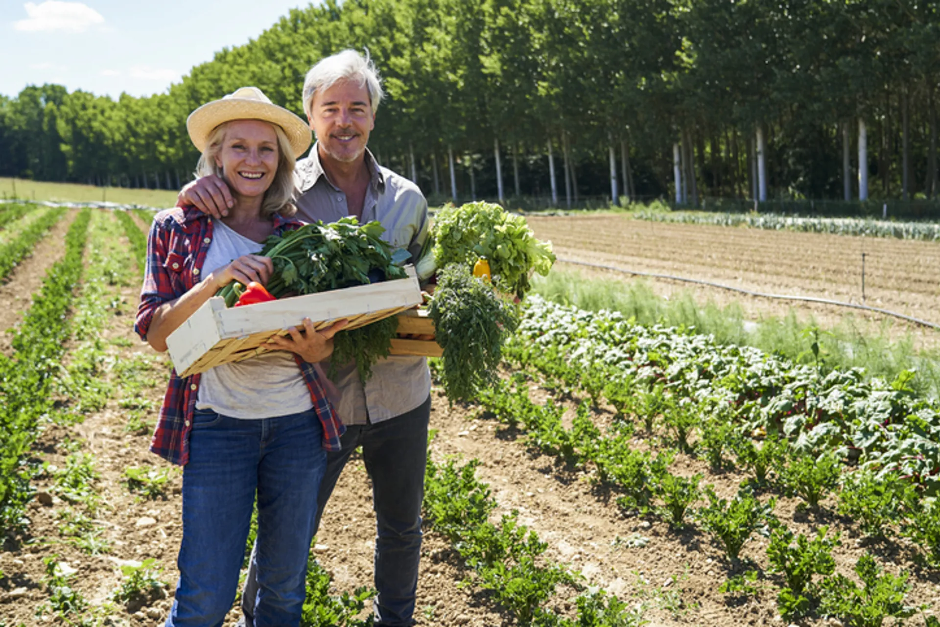 Portrait of happy farming couple holding recently picked vegetables at organic farm